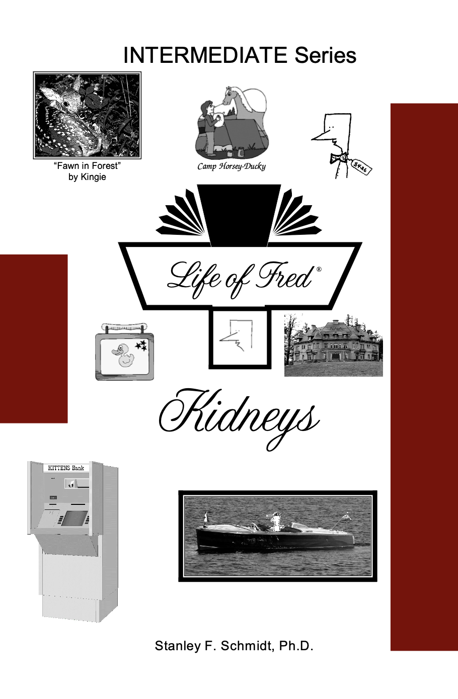 Life of Fred: Kidneys