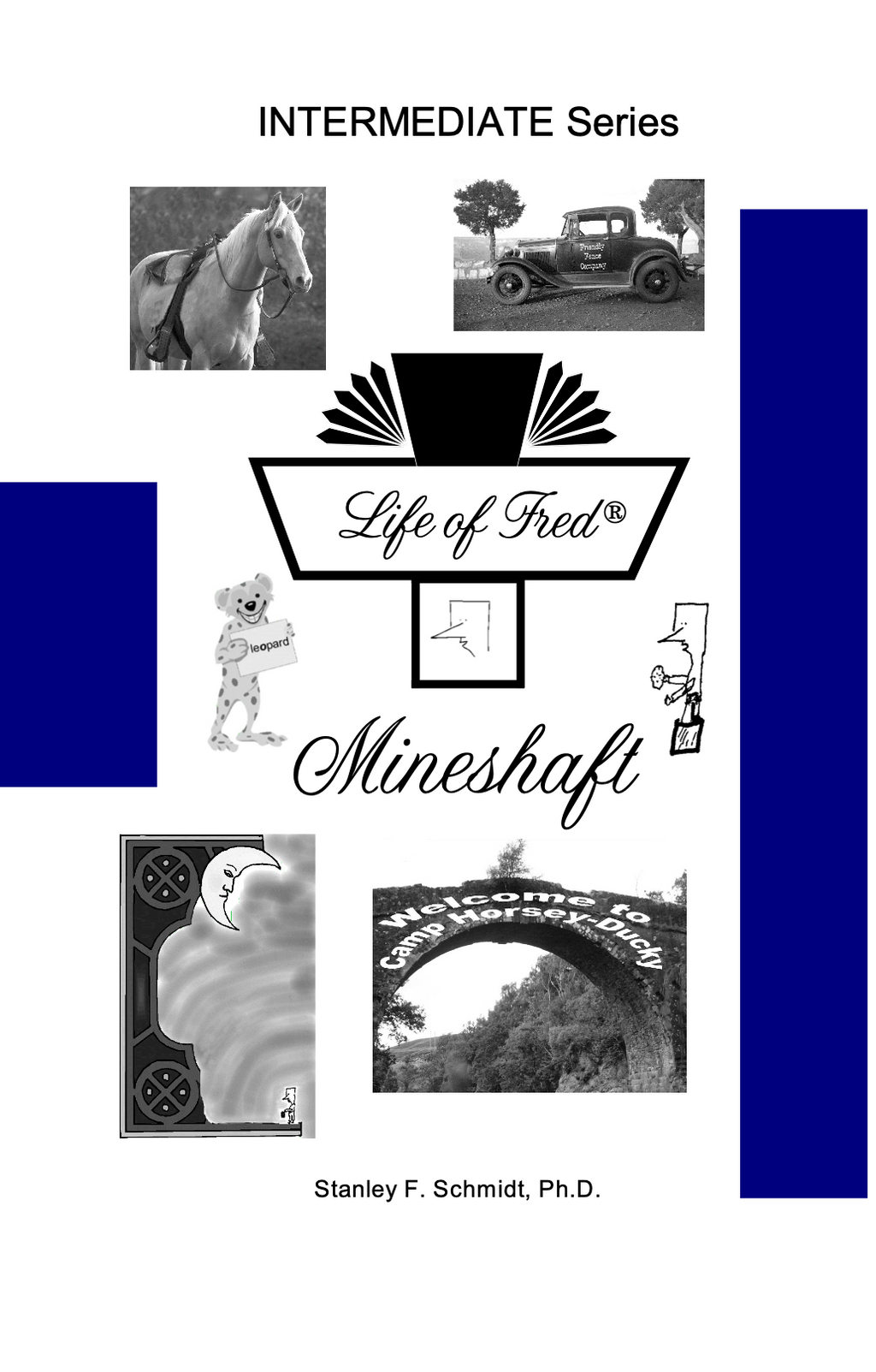 Life of Fred: Mineshaft